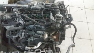 Ford Fiesta euro 5 çıkma dizel motor